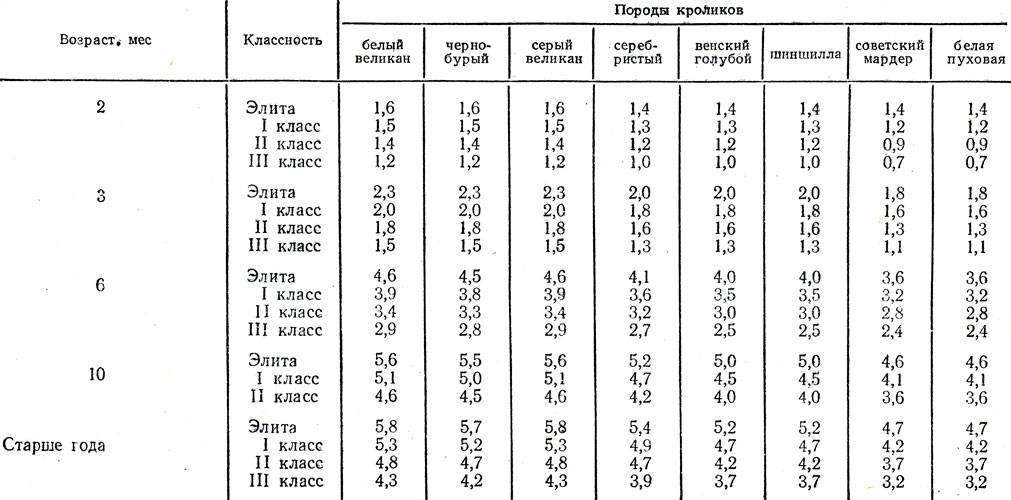 Сколько весит таблица. Вес Калифорнийского кролика по месяцам таблица. Весовая таблица кроликов. Таблица привесов кроликов разных пород. Вес кроликов по месяцам разных пород таблица.