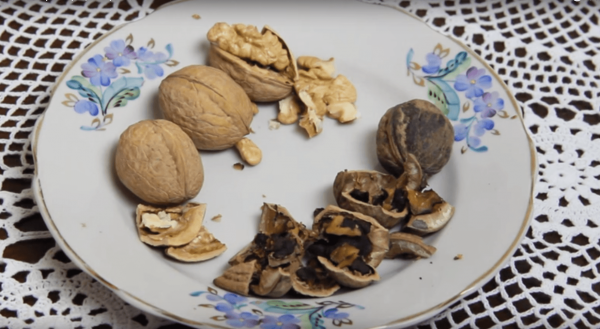 Грецкие орехи хорошего и плохого качества