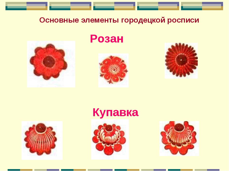 Купавка цветок рисунок