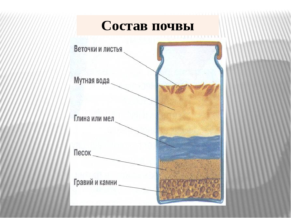 Слои рисунок. Строение почвы схема. Состав почвы схема. Почва ее состав и строение. Схематическое строение почвы.