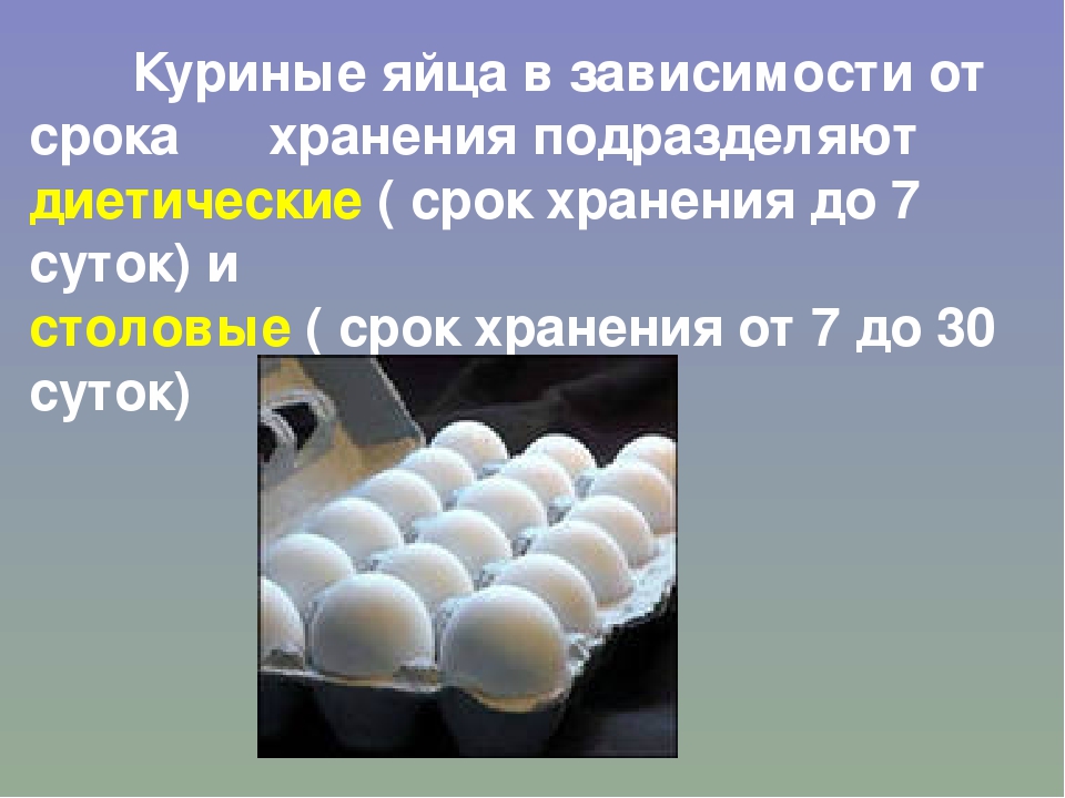 Сколько можно держать яйца. Хранение куриных яиц. Срок хранения яиц. Условия хранения яиц. Хранение яиц в холодильнике срок хранения.