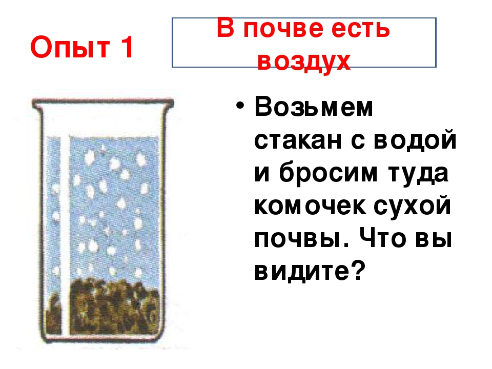 Воздух ела. Опыт в почве есть воздух. Опыты с почвой. В почве есть вода опыт. Опыт с почвой и водой.