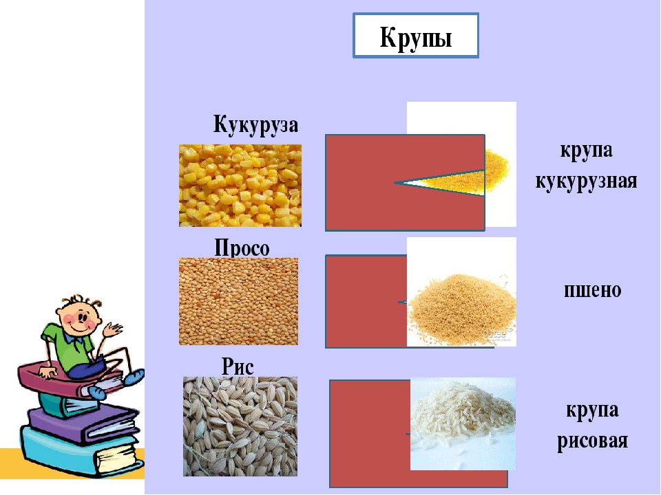 Кто живет в муке или каше