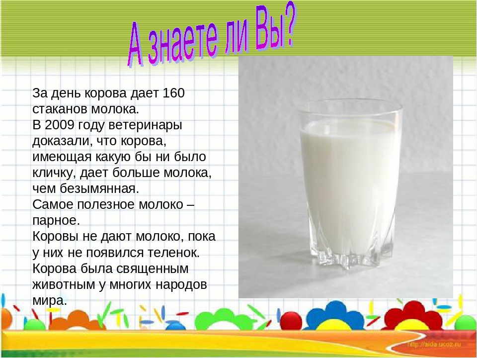 Сколько литров дает корова молока в день. Молоко от коровы. Коровье молоко цвет. Факты о молоке. Молоко картинка для детей.