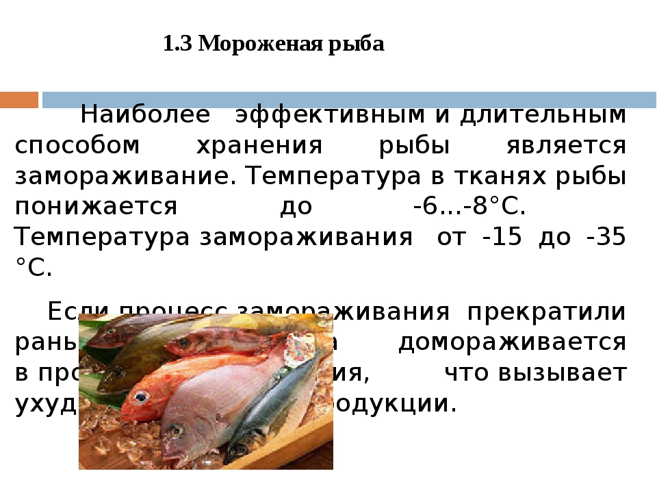 Сколько можно хранить охлажденную рыбу в холодильнике засоленную