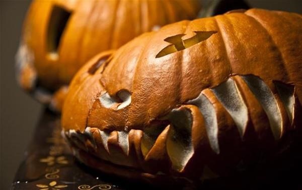 How to Prevent Carved & Uncarved Pumpkins from Rotting