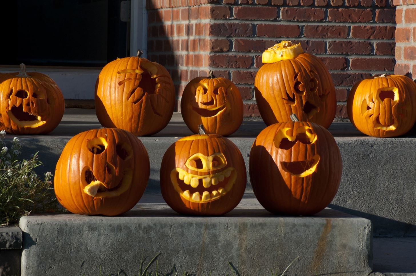 How to Prevent Carved & Uncarved Pumpkins from Rotting