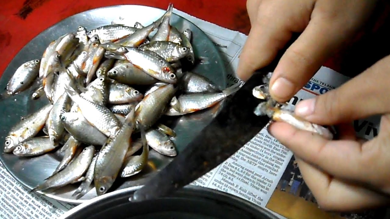 Вода воняет рыбой. Запах рыбы. Запах жареной рыбы в квартире. Чтобы устранить запах рыбы при жарке. Как избавиться от запаха рыбы.