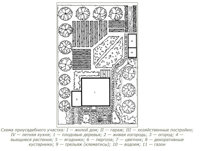 Планировка сада схема
