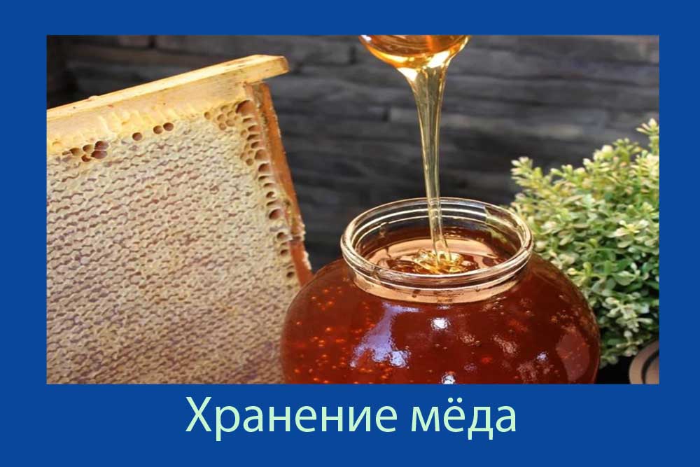 Лечение медом как называется. Хранение меда. Дом меда.