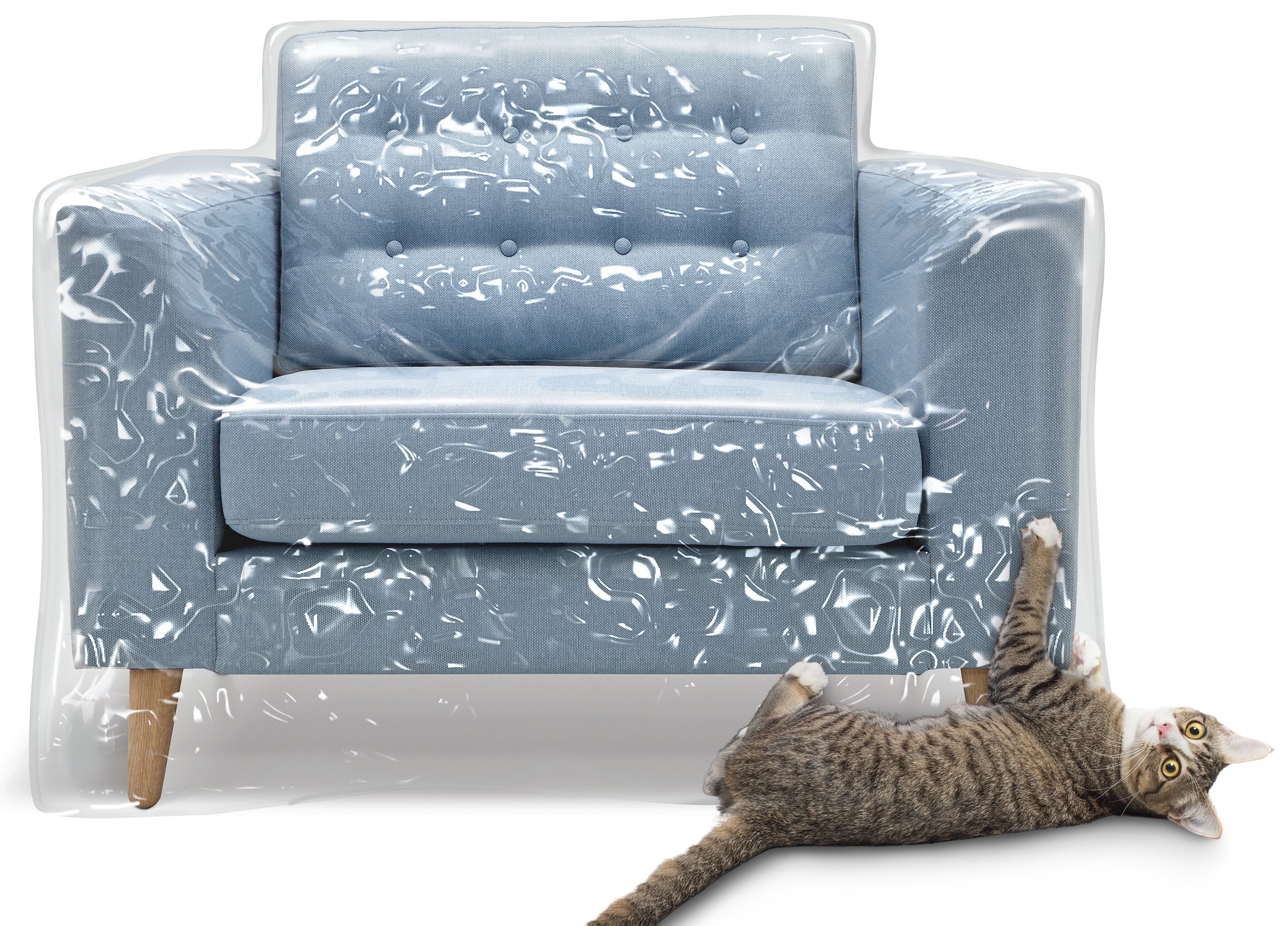 Велюровый диван и кошка