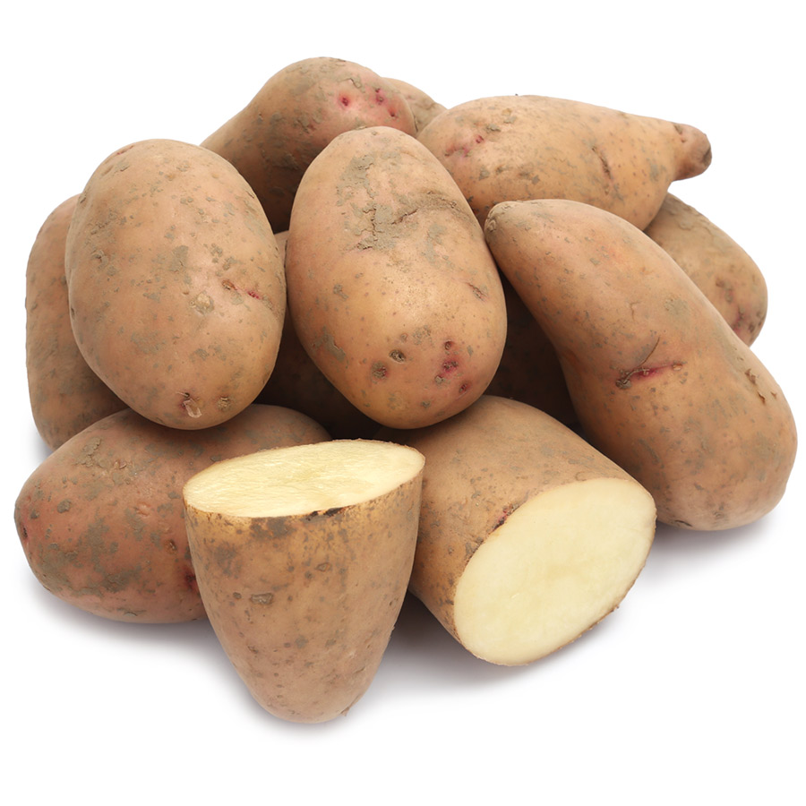 Жуковский ранний картофель характеристика отзывы
