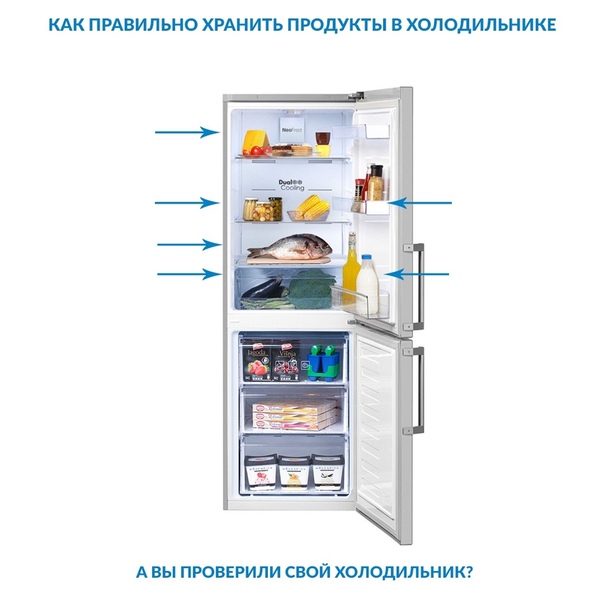Почему сыр в холодильнике. Правильное хранение в холодильнике. Зоны хранения в холодильнике. Правильное хранение сыра в холодильнике. Температура на полках в холодильнике.