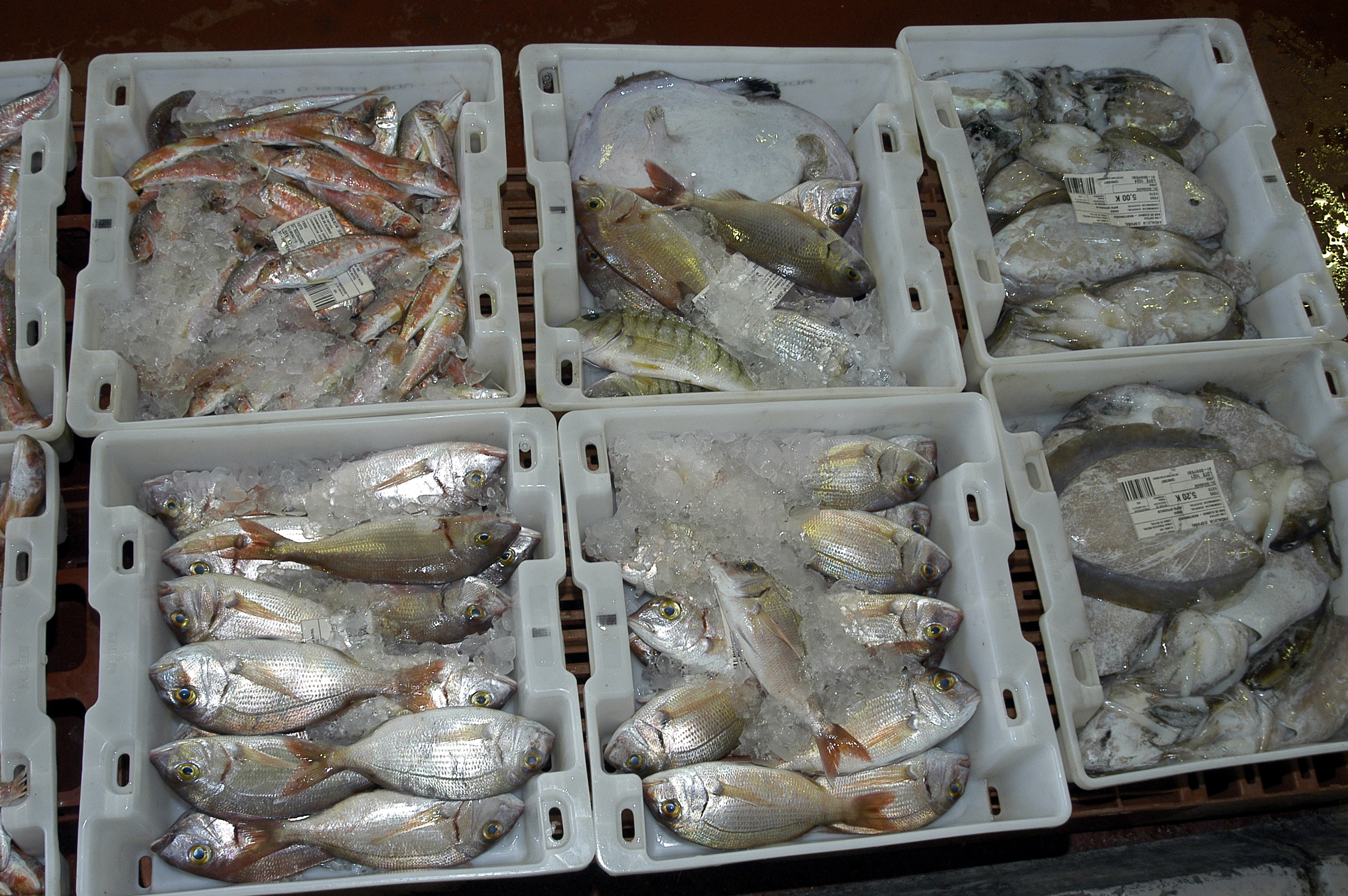 Рыба после заморозки. Транспортировка охлаждённой рыбы. Хранение рыбы. Хранение мороженой рыбы. Ящики для хранения рыбы.