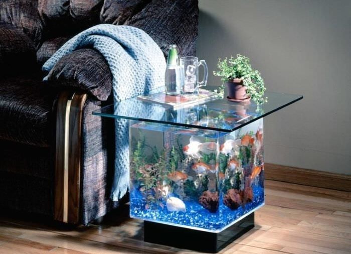 Маленький аквариум в виде журнального столика